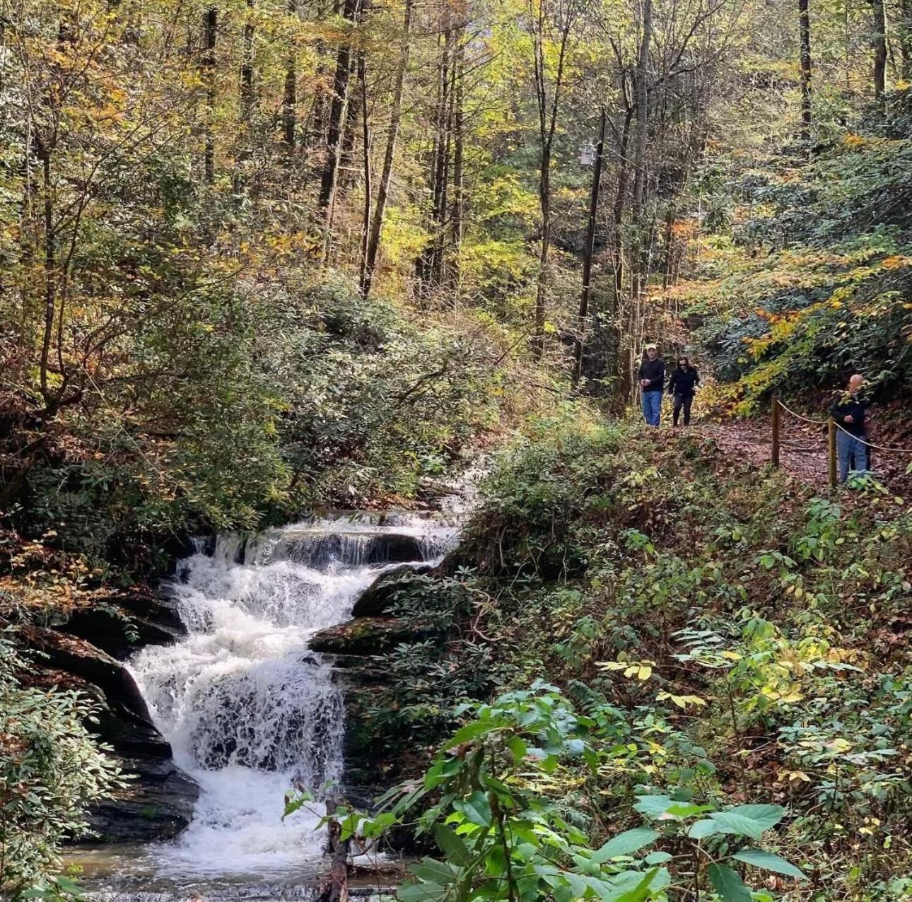 Horseshoe Hideaway Севьервилл Экстерьер фото